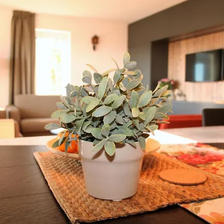 Uplandparcs Appartement *